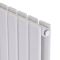 Вертикальный дизайнерский радиатор отопления ARTTIDESIGN Livorno II 6/1600/408/50 белый  матовый